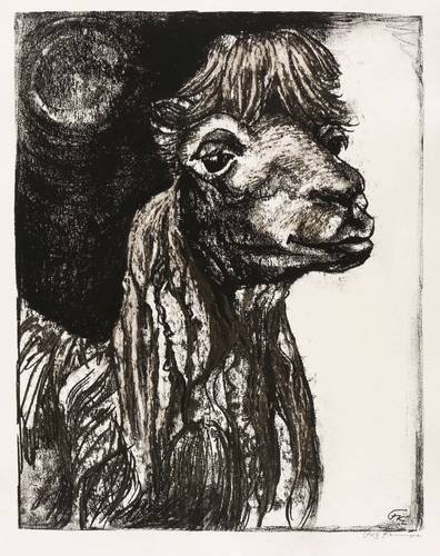 Kempe, Fritz -  -  - Ein Kamel