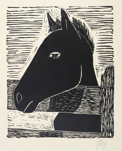 Fleig, Karl -  -  - Fohlen