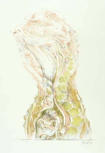 Herold, Rainer -  -  - Ohne Titel (Kopf)