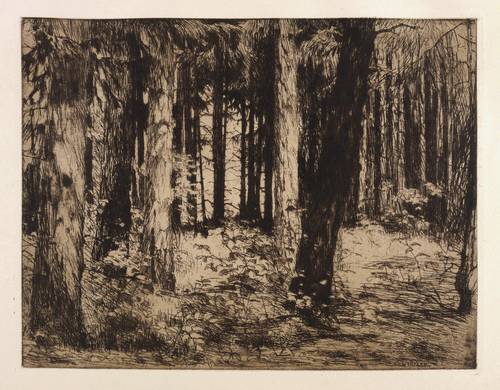 Winkler, Eduard -  -  - Waldinneres