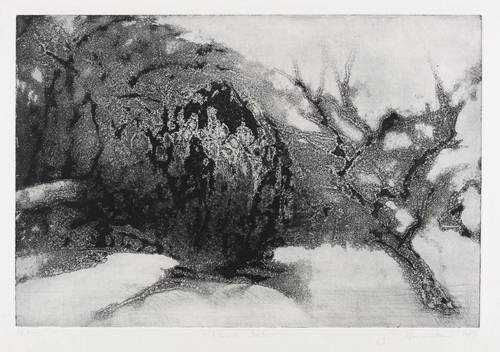 Herrmann, Gunter -  -  - Vereiste Natur