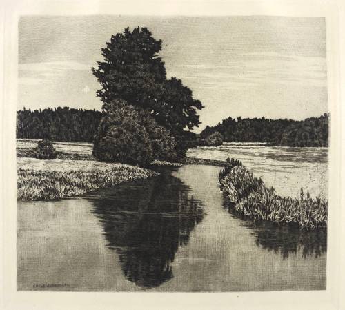 Holleck-Weithmann, Karl -  -  - Durch Wiese und Wald