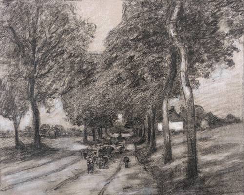 Deutscher Zeichner -  -  - Heimtrieb