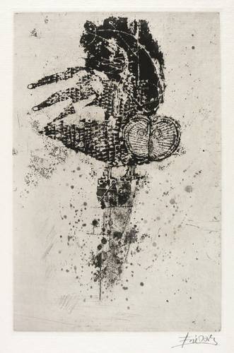 Friedländer, Johnny - Petit bestiaire - Petit bestiaire - Hibou (Eule)