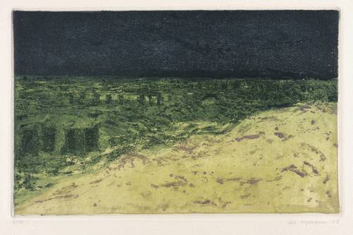 Hofmann, Veit -  -  - Ohne Titel (Buhnen in der Ostsee)