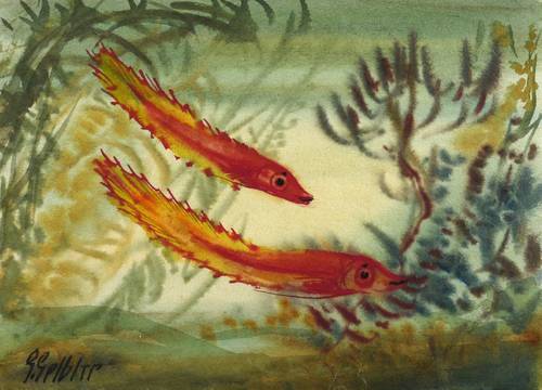 Gelbke, Georg -  -  - Zwei Zierfische im Aquarium