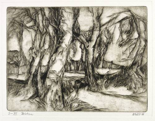 Körner, Gottfried -  -  - Birken