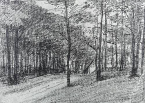 Deutscher Zeichner -  -  - Waldstück