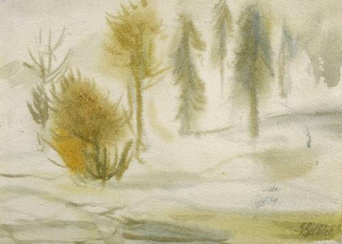 Gelbke, Georg -  -  - Bäume im Nebel (Kurische Nehrung)