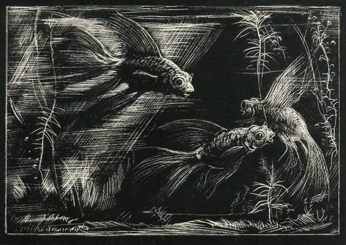 Gelbke, Georg -  -  - Zierfische im Aquarium