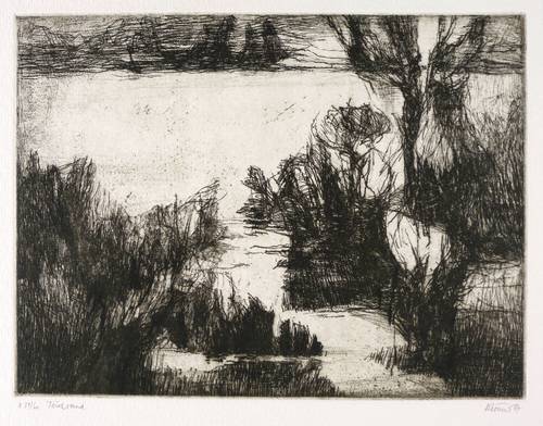 Körner, Gottfried -  -  - Teichrand