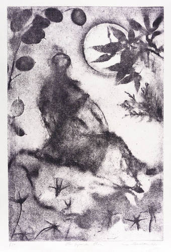 Herrmann, Gunter -  -  - Der japanische Ahorn