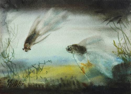 Gelbke, Georg -  -  - Zwei Schleierschwänze im Aquarium