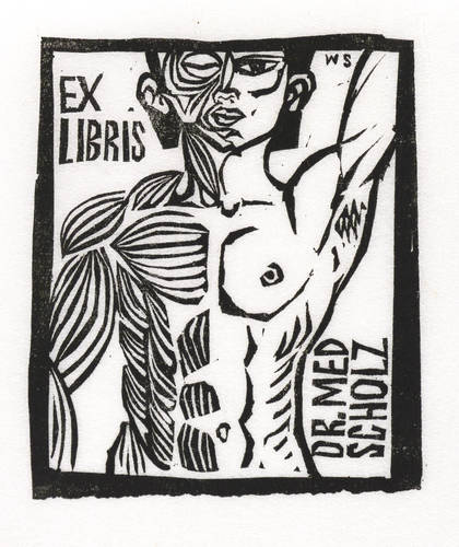 Schinko, Werner -  -  - Exlibris Dr. Albrecht Scholz (Männerakt-Muskelmann)