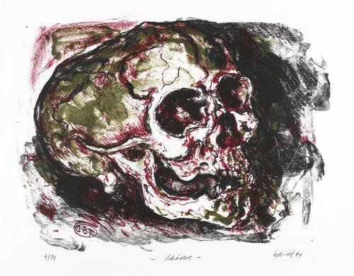 Wenzel, Jürgen -  -  - Schädel