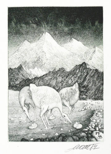 Dudek, Josef -  -  - Strand mit phantastischen Vögeln