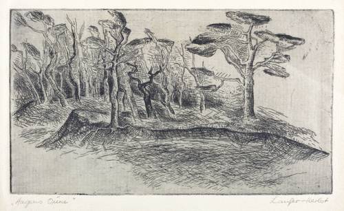 Laufer-Herbst, Maria -  -  - Hagens Düne (Darßer Wald)