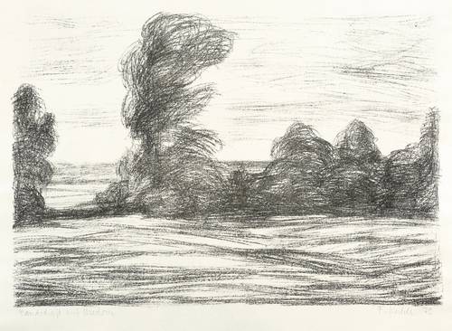 Kuhle, Fridrun -  -  - Landschaft auf Usedom