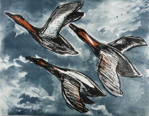 Hippold, Erhard -  -  - Entenflug