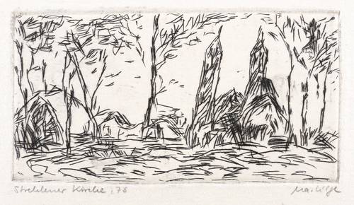 Lilge, Marlis -  -  - Strehlener Kirche (Dresden)