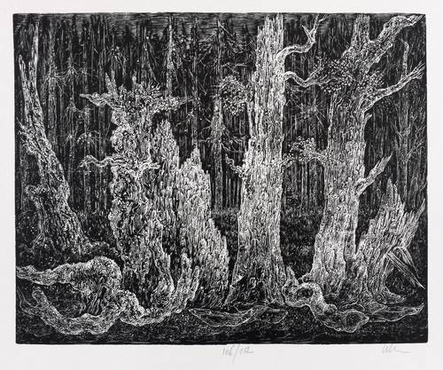 Schulze, Hans -  -  - Waldstück