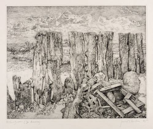 Richter, Gerenot -  -  - Das Meerwunder (D1500)