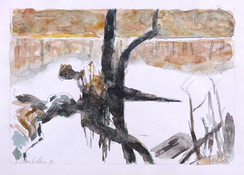 Kutschke, Hans -  -  - Studie am Herthasee / Rügen