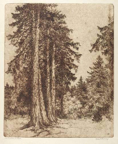 Steiniger, Ferdinand -  -  - Das Raunen im Wald