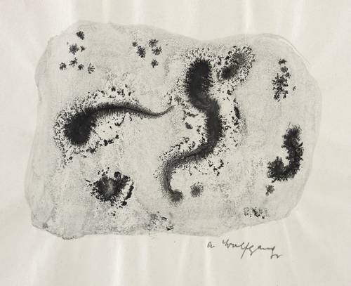 Wolfgang, Alexander -  -  - Kaulquappen