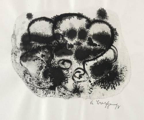 Wolfgang, Alexander -  -  - Totenköpfchen