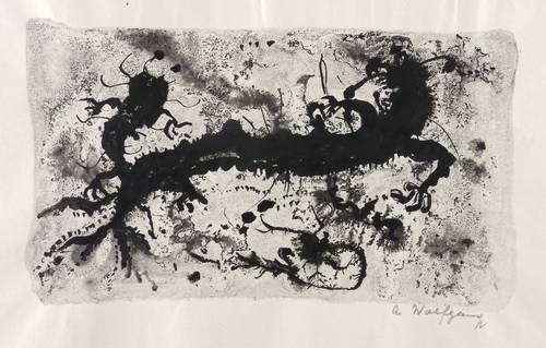 Wolfgang, Alexander -  -  - Salamander