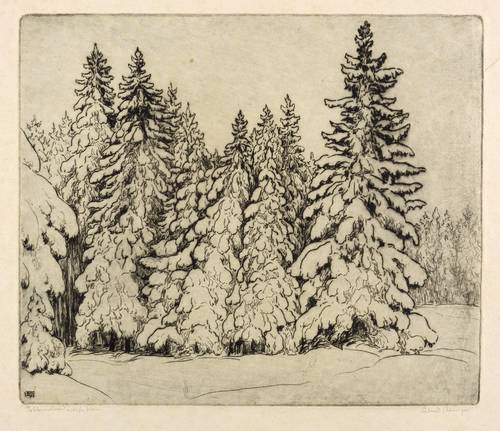 Steiniger, Ferdinand -  -  - Fichtenwaldrand im tiefen Schnee