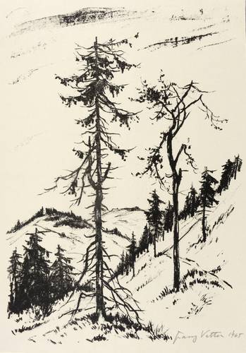 Vetter, Franz -  -  - Bergwinter