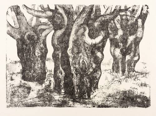 Neubauer, Karl -  -  - Alte Bäume vom Darß