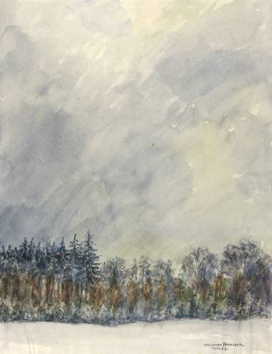 Steiniger, Ferdinand -  -  - Waldsaum (Dresdner Heide)