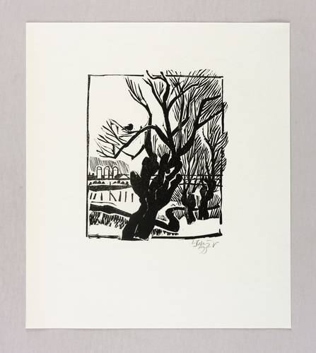Schinko, Werner -  -  - Alte Weide
