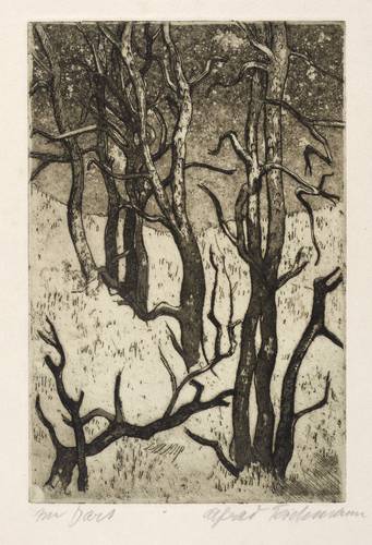 Teichmann, Alfred -  -  - Im Darß (Bäume im Winter)