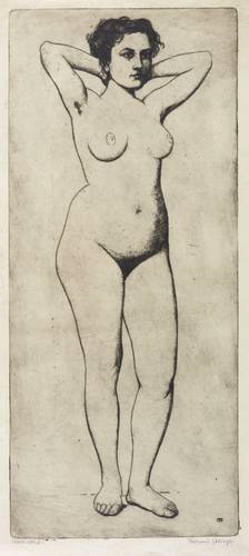 Steiniger, Ferdinand -  -  - Weiblicher Akt