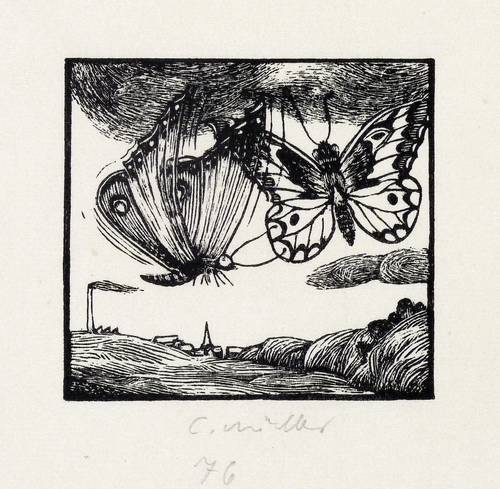 Müller-Schloen, Claus -  -  - Schmetterlinge