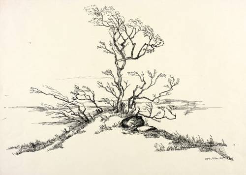 Söder, Gert -  -  - Windflüchter