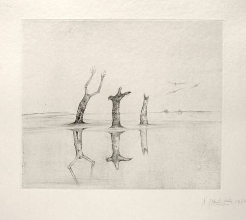 Loewig, Roger - Spiegelungen - Spiegelungen - Spiegelung II