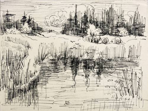 Wolfgang, Alexander -  -  - Teichlandschaft