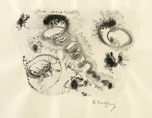 Wolfgang, Alexander -  -  - Meeresfauna