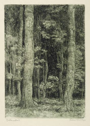 Steiniger, Ferdinand -  -  - Buchenwaldrand