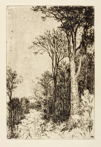 Steiniger, Ferdinand -  -  - Ohne Titel (Waldweg in der der Dresdner Heide)