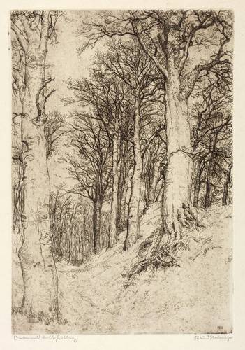 Steiniger, Ferdinand -  -  - Buchenwald im Vorfrühling