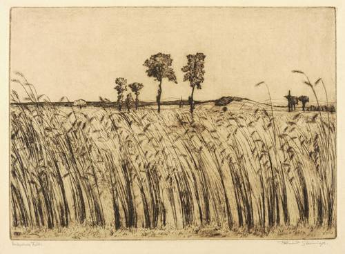 Steiniger, Ferdinand -  -  - Ernteschwere Felder