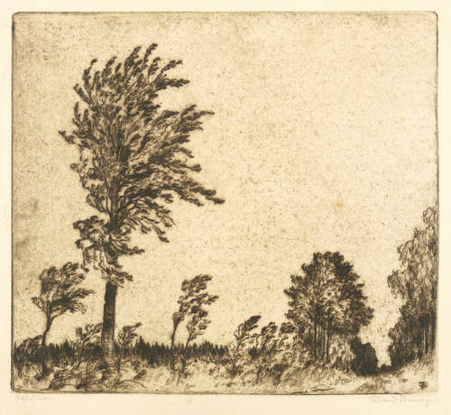 Steiniger, Ferdinand -  -  - Herbststurm