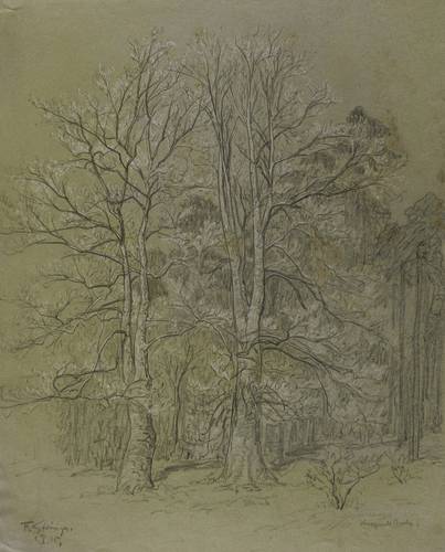 Steiniger, Ferdinand -  -  - Knospende Buchen