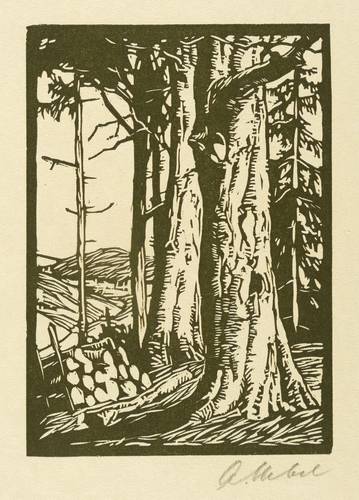 Uebel, Alfred -  -  - Waldrand